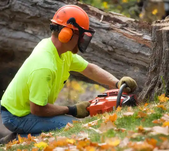 tree services Los Lunas